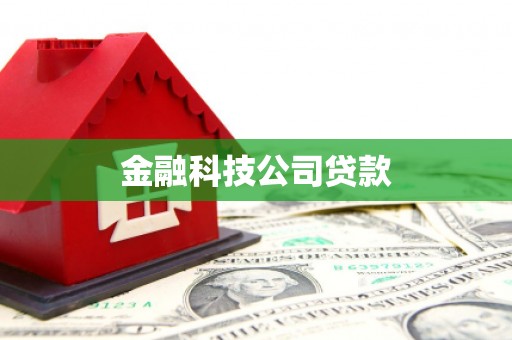 宜兰金融科技公司贷款