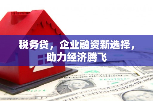 宜兰税务贷，企业融资新选择，助力经济腾飞