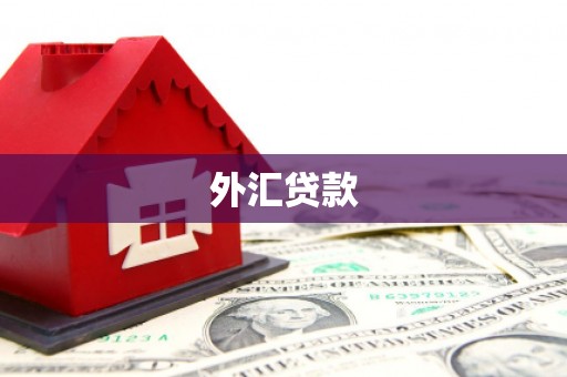 宜兰外汇贷款