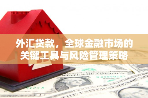 宜兰外汇贷款，全球金融市场的关键工具与风险管理策略