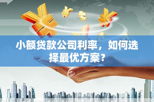 宜兰小额贷款公司利率，如何选择最优方案？