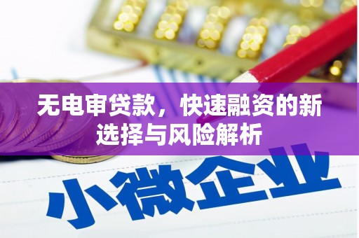 宜兰无电审贷款，快速融资的新选择与风险解析