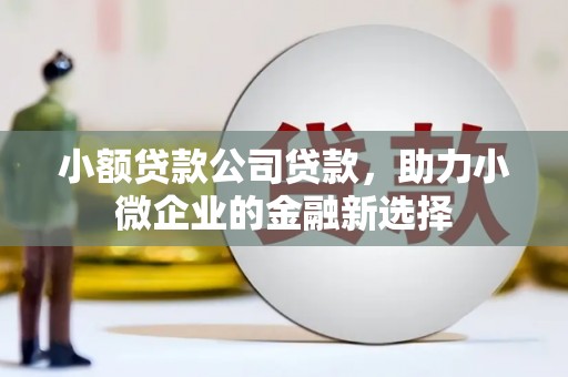 宜兰小额贷款公司贷款，助力小微企业的金融新选择