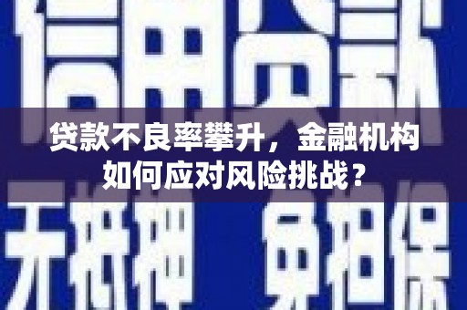 宜兰贷款不良率攀升，金融机构如何应对风险挑战？