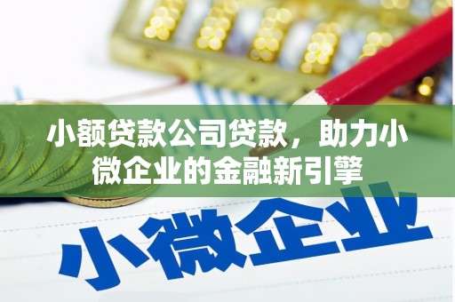 宜兰小额贷款公司贷款，助力小微企业的金融新引擎