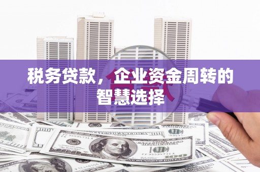 宜兰税务贷款，企业资金周转的智慧选择