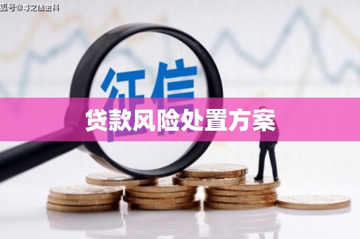 宜兰贷款风险处置方案