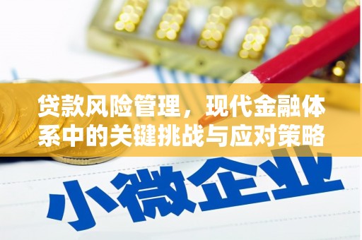 宜兰贷款风险管理，现代金融体系中的关键挑战与应对策略