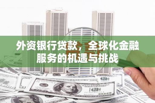 宜兰外资银行贷款，全球化金融服务的机遇与挑战