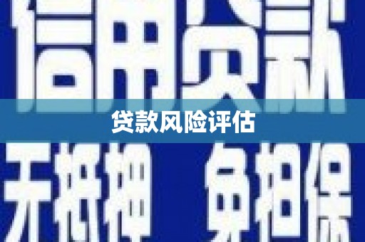 宜兰贷款风险评估
