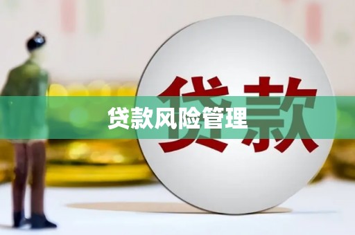 宜兰贷款风险管理