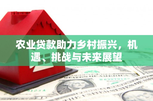 宜兰农业贷款助力乡村振兴，机遇、挑战与未来展望