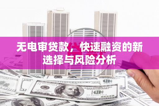宜兰无电审贷款，快速融资的新选择与风险分析