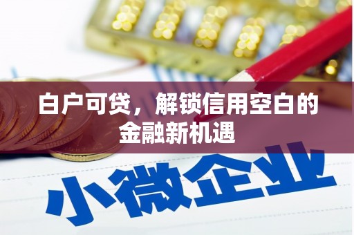 宜兰白户可贷，解锁信用空白的金融新机遇