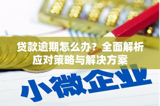 宜兰贷款逾期怎么办？全面解析应对策略与解决方案