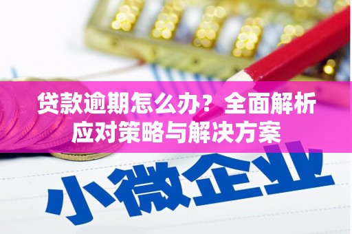 宜兰贷款逾期怎么办？全面解析应对策略与解决方案