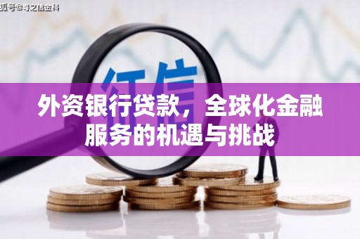 宜兰外资银行贷款，全球化金融服务的机遇与挑战