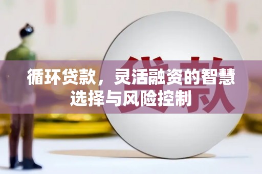宜兰循环贷款，灵活融资的智慧选择与风险控制