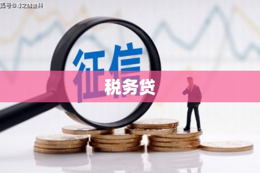 宜兰税务贷