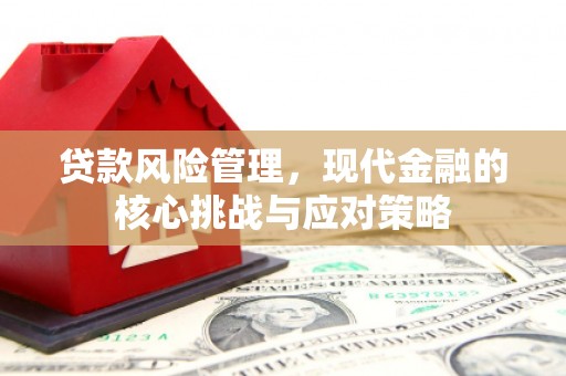 宜兰贷款风险管理，现代金融的核心挑战与应对策略