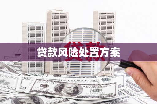 宜兰贷款风险处置方案
