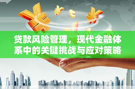 宜兰贷款风险管理，现代金融体系中的关键挑战与应对策略
