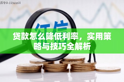 宜兰贷款怎么降低利率，实用策略与技巧全解析
