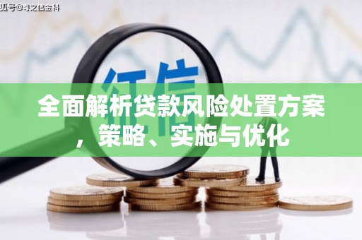 宜兰全面解析贷款风险处置方案，策略、实施与优化