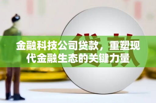 宜兰金融科技公司贷款，重塑现代金融生态的关键力量