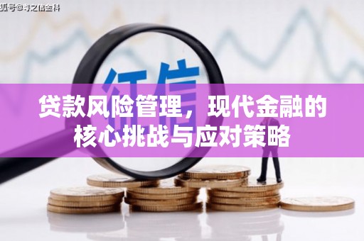 宜兰贷款风险管理，现代金融的核心挑战与应对策略