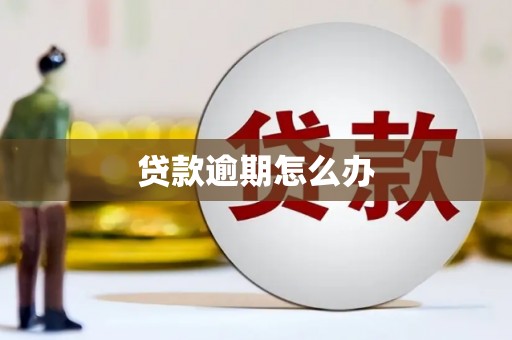 宜兰贷款逾期怎么办