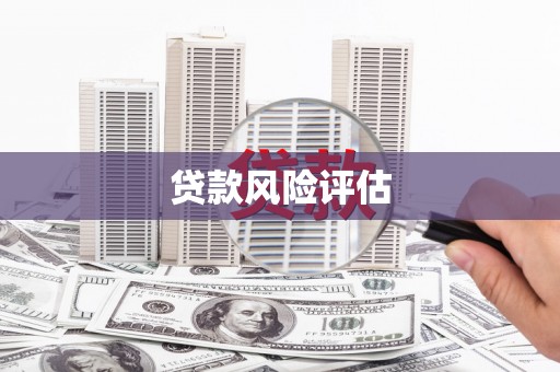 宜兰贷款风险评估