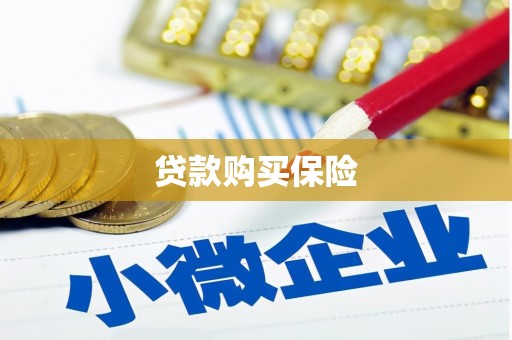 宜兰贷款购买保险
