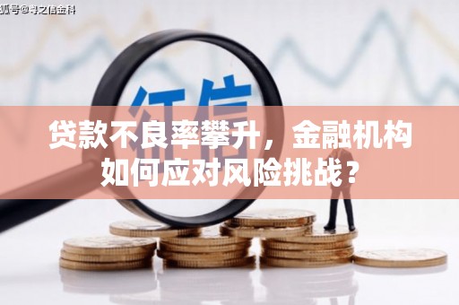 宜兰贷款不良率攀升，金融机构如何应对风险挑战？