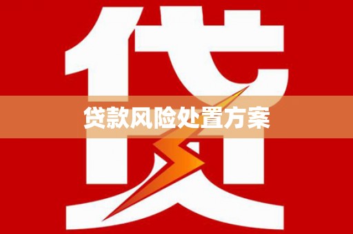 宜兰贷款风险处置方案