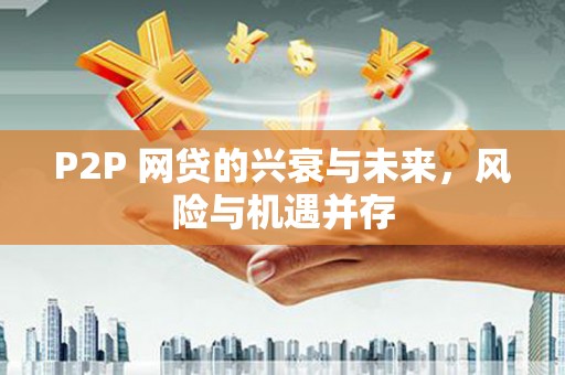 宜兰P2P 网贷的兴衰与未来，风险与机遇并存