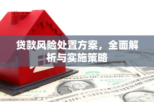 宜兰贷款风险处置方案，全面解析与实施策略